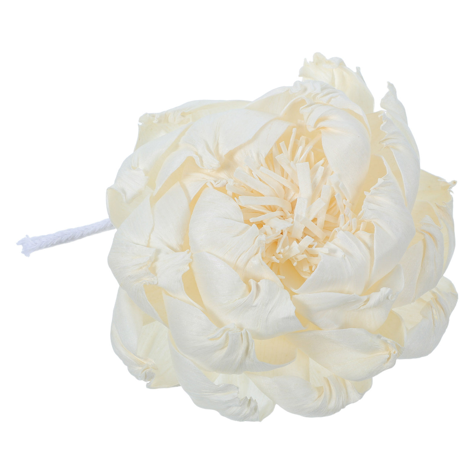 Peony Head Fragrance Diffuser  - Home Fragrance Essential Oils ulasan dan harga