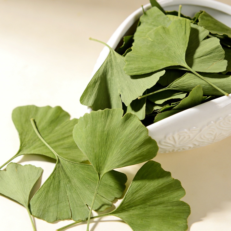Quality Ginkgo Biloba Dried Le - Home Fragrance Sachet ulasan dan harga