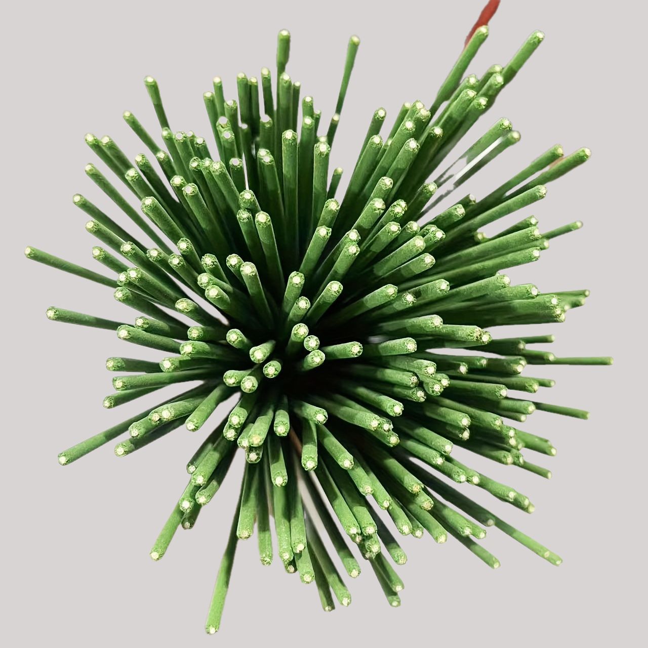 Reed Diffuser Sticks Lemongras - Home Fragrance Collection ulasan dan harga