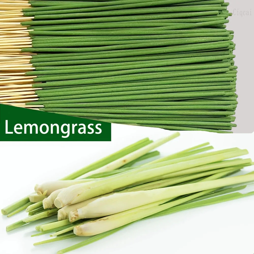 Reed Diffuser Sticks Lemongras - Home Fragrance Collection ulasan dan harga