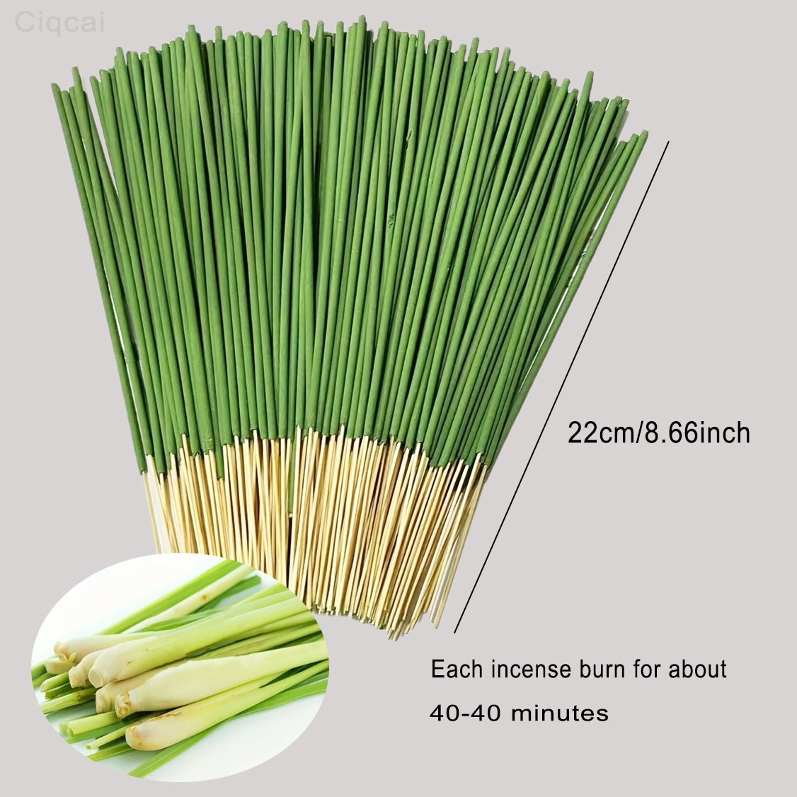 Reed Diffuser Sticks Lemongras - Home Fragrance Collection ulasan dan harga